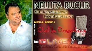 NELUTA BUCUR  Mia albit parul la tample  Barbatul carei frumos live audio [upl. by Aieka]