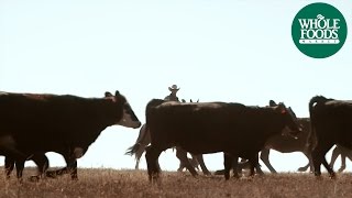 Values Matter TV Commercial Beef  Values Matter  Whole Foods Market [upl. by Amikahs]