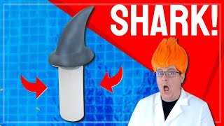 Shark Fin Pool Chlorine Float Dispenser  SHARK IN MY POOL [upl. by Anaujd]