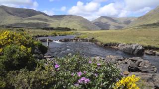 The Beautiful and Unspoilt Delphi Estate  Connemara Ireland  1080pmov [upl. by Arfihs]