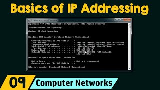 Basics of IP Addressing [upl. by Naraa]