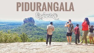 Pidurangala Hike  Sri Lanka Travel Vlog [upl. by Ahsetan672]