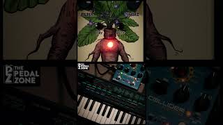 This Pedal Makes Your Synth Scream  KMA Mandrake ambientmusic synthwave guitarpedals [upl. by Ydnik]