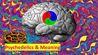 Psychedelics and Meaning  Real Case Study [upl. by Uel]