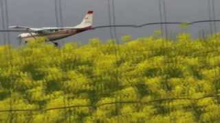 Aérodrome Dieppe  LFAB  Un aprèsmidi de juin 2013 [upl. by Aikemahs]