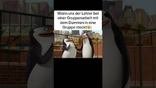 randomstutf Meme moment funnymoments funny memesextremlustig comedy lustig real funnyvideo [upl. by Socin]