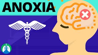 Anoxia Medical Definition  Quick Explainer Video [upl. by Goggin]