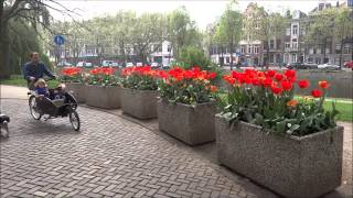 Annie Palmen  Tulpen uit Amsterdam Tulpendagen 2014 [upl. by Dranreb]