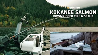 Downrigger Trolling for Kokanee  Tips amp How to Setup [upl. by Yeliw43]