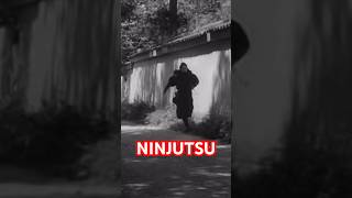 How To Do NINJUTSU Sword Climbing Techniques from Togakure Ryu 💥 Shorts Ninjutsu MartialArts [upl. by Weissmann]