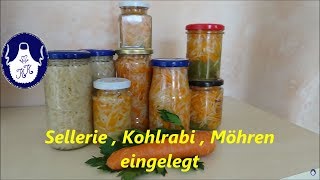 Sellerie  Kohlrabi  Möhren einlegen [upl. by Moseley598]