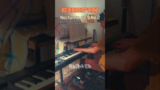 chopin nocturne Op 9 No 2 [upl. by Gerome355]