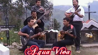 AGUA VIVA Cruel destino Huayno Abancay Apurimac [upl. by Artina]