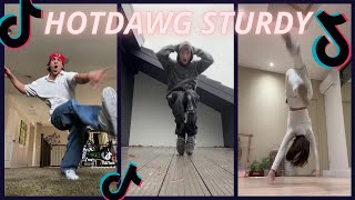 HOTDAWG STURDY 〰 new tiktok dance 💜🎵 [upl. by Ahsii]