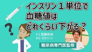 【インスリン】１単位打つと血糖値はどれくらい下がるのか？計算方法を解説【糖尿病専門医監修】 [upl. by Lazes]