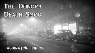 The Donora Death Smog  A Short Documentary  Fascinating Horror [upl. by Alahsal]