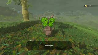 Korok seeds  Farosh Hills  Lake Tower 11  Zelda BOTW [upl. by Jobina]