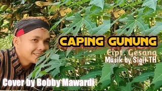 Caping Gunung Cipt Gesang Cover by Bobby Mawardi Ft Sigit TH [upl. by Ydda81]