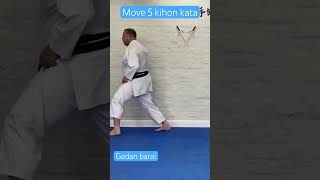 Kihon kata move 5 Ninety degree turn into gedan barai shotokan shotokankata [upl. by Inessa965]