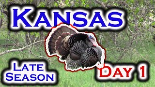 Turkey hunting Kansas LATE SEASON Tactics Can We Get It DONE [upl. by Chandra593]