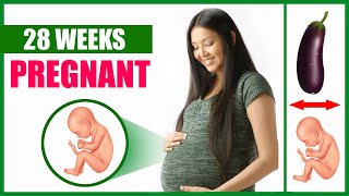 28 Weeks Pregnant – Baby Movement and Baby Size Position [upl. by Blackmore]