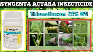 Syngenta Actara Insecticide  actara insecticide  Thiamethoxam 25WG [upl. by Uos]