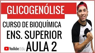 GLICOGENÓLISE  AULA DE BIOQUÍMICA PARA ENSINO SUPERIOR  Prof Patrick Gomes [upl. by Reisch]