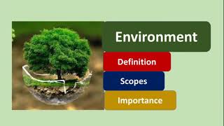 Environment  Definition Scopes and importance  Hindi Explaination  Environment BA  BSc  BCom [upl. by Chico]