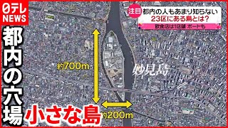 【穴場】東京23区にある”島”に観光客が来るワケは？ [upl. by Randall]