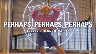 Perhaps Perhaps Perhaps  Doris Day  Ceepee Choreography [upl. by Rad]