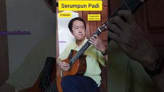 Serumpun Padi  RMaladi  Fingerstyle Guitar Cover  fingerstyle guitar [upl. by Alliw]