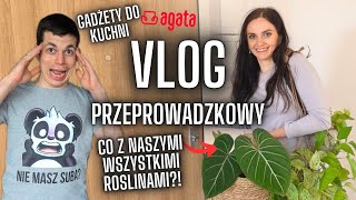 Przeprowadzka 🏡 Co z naszymi roślinami⁉️🌱 Domowy VLOG Gosia i Miłosz Vlog [upl. by Auoz]