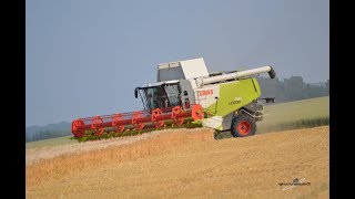 CLAAS lexion760 et deux joskin 3 essieux à la moisson [upl. by Nnarefinnej]