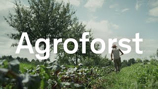 Förderprogramm Agroforst myclimate DE Untertitel [upl. by Repard]