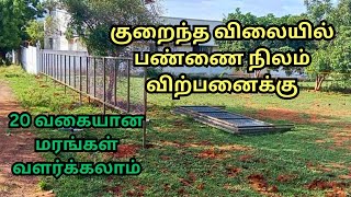 பண்ணை நிலம் விற்பனைக்கு ✨ realestate farmlandsale coimbatore  Farm land sale in coimbatore [upl. by Wendalyn56]