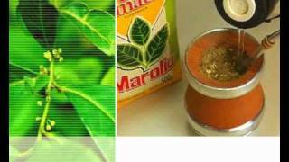 Yerba Mate Marolio [upl. by Gustave675]