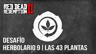 Red Dead Redemption 2  Desafío Herbolario 9  Las 43 Plantas [upl. by Affra]