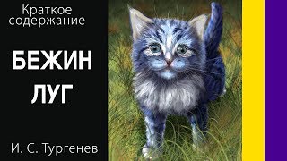 Краткое содержание Бежин луг Тургенев И С Пересказ рассказа за 4 минуты [upl. by Farley]