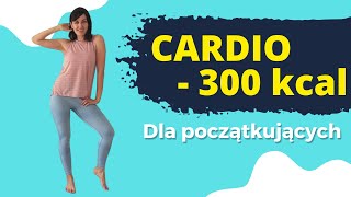 Ciche cardio na stojąco spal ponad 300 kcal Bez podskoków i tupania [upl. by Candide]