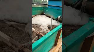 Effluent treatment plantytshorts viral trending [upl. by Sunshine161]