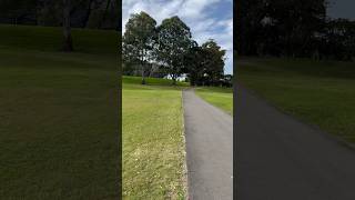 Beautiful nature trees at Parramatta parkaustralia [upl. by Lennahs524]