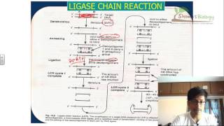 Ligase chain reaction LCR [upl. by Philipp]