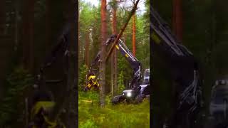 Precision Harvesting with PONSSE Ergo Harvester CuttingEdge Logging Technology agriculture [upl. by Renwick]