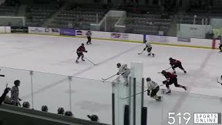 Liam Eveleigh scores the OVERTIME winner for Elmira in Game 1 [upl. by Ilise]