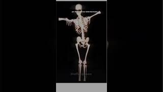 pov  skeleton dances better than human 🤩😂 [upl. by Heilman]