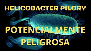 ¿COMO saber si TENGO HELICOBACTER PYLORI SINTOMAS COMPLICACIONES DIAGNOSTICO y TRATAMIENTO [upl. by Peedsaj]