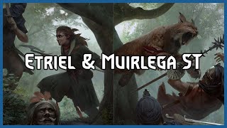 Etriel Muirlega in ST Devotion Schirru  Gwent Pro Rank Gameplay [upl. by Hartzell301]