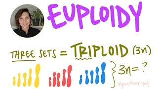 What is euploidy What is haploid diploid triploid n 2n 3n College Biology AP Biology [upl. by Adaline]