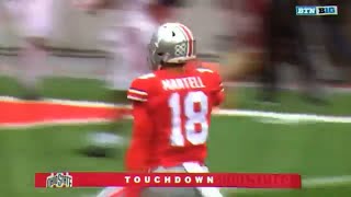 Tate Martell First Career TD pass to Terry McLaurin 51 yards  Rutgers vs Ohio State [upl. by Abekam]