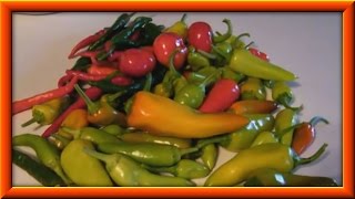 How To Make Hot Or Sweet Pepper Relish [upl. by Younger]